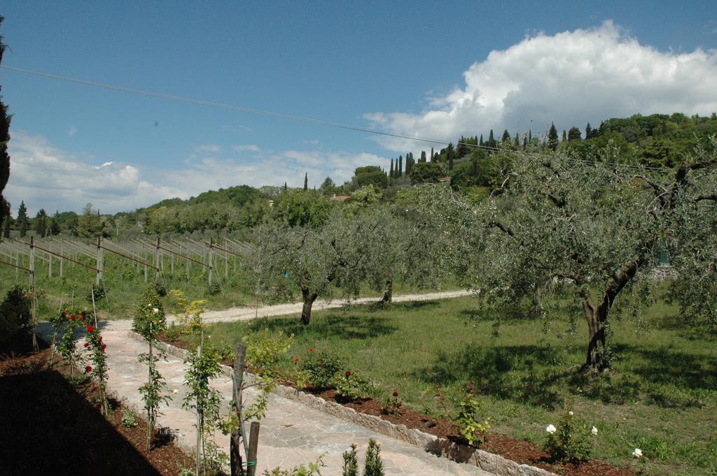 Alojamento de Turismo Rural Tenuta La Pergola