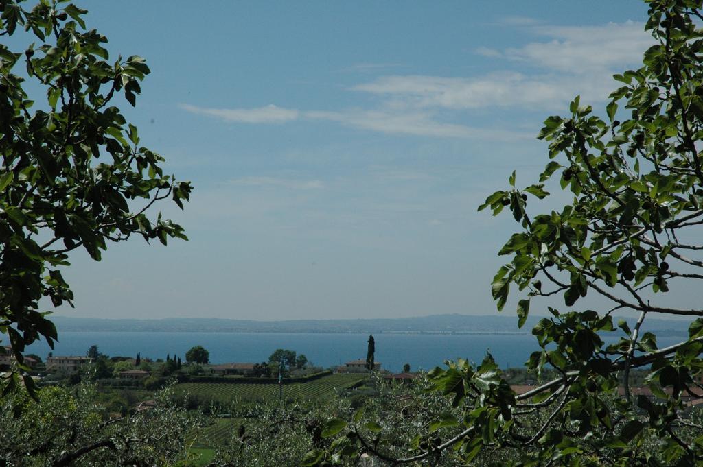 Alojamento de Turismo Rural Tenuta La Pergola