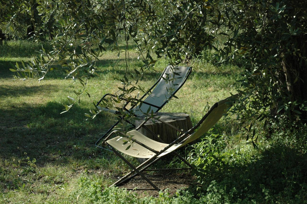 Alojamento de Turismo Rural Tenuta La Pergola Bardolino