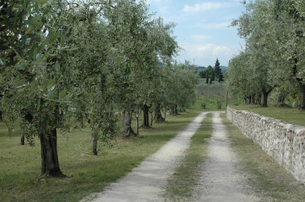 Agriturismo Tenuta La Pergola