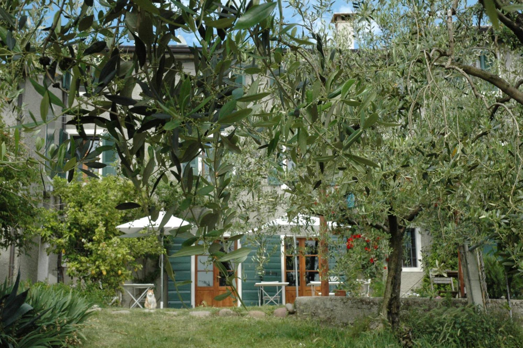 Agriturismo Tenuta La Pergola * Bardolino