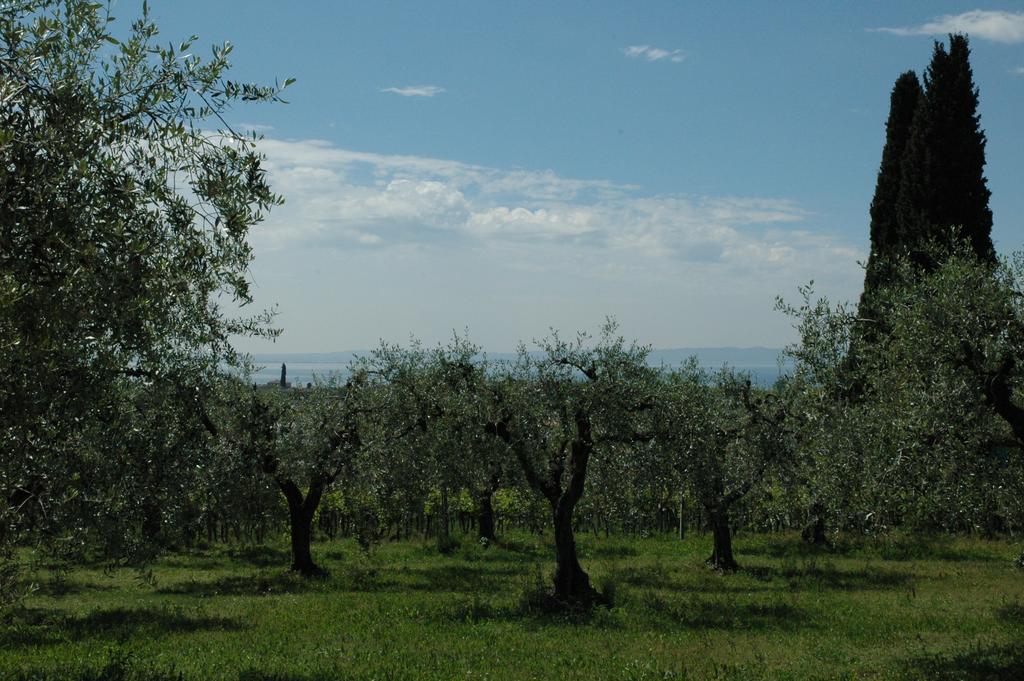 Agriturismo Tenuta La Pergola Bardolino