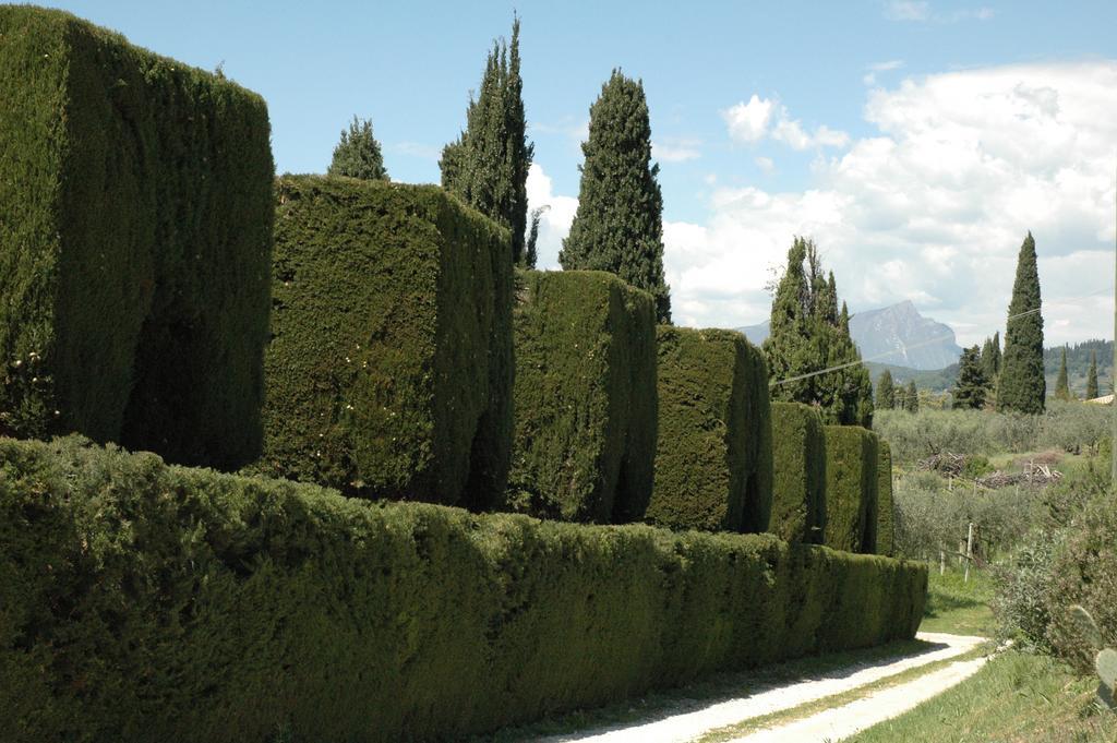 Agriturismo Tenuta La Pergola